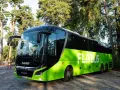 Zielony polski bus FlixBus stoi na brukowanym placu. Zastanawiasz się, jak oddać bilet?