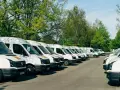 Rząd białych busów zaparkowanych pod drzewami. Zastanawiam się, jaki bus w benzynie sprawdziłby się najlepiej do przewozu towarów.
