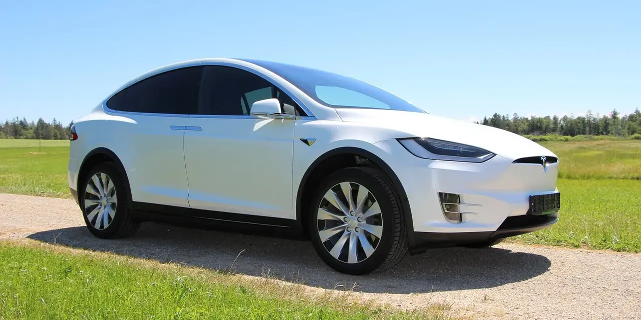 Biała Tesla Model X na tle łąki i lasu. Zastanawiasz się, ile kosztuje najtańsza Tesla?
