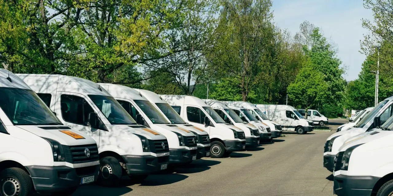 Rząd białych busów zaparkowanych pod drzewami. Zastanawiam się, jaki bus w benzynie sprawdziłby się najlepiej do przewozu towarów.