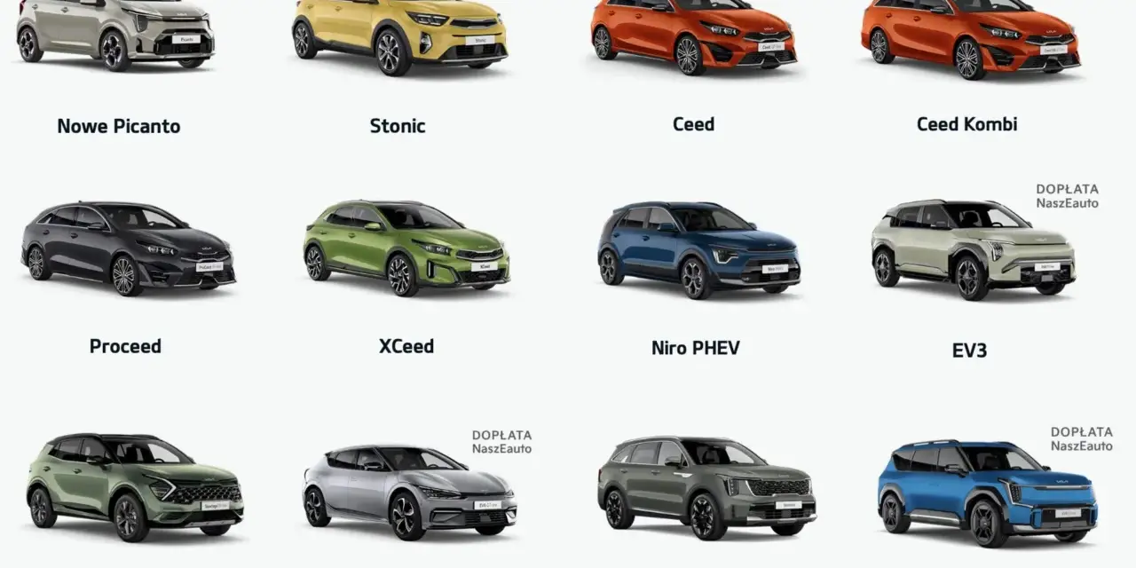 Różne rodzaje pojazdów Kia: miejskie Picanto, SUV-y Stonic, Ceed, XCeed, Sportage, Sorento oraz elektryczne EV3, EV6, EV9.