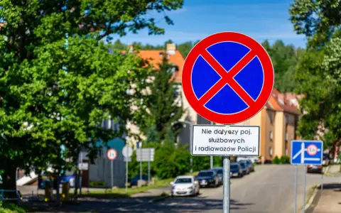 Znak zakaz postoju z tabliczką "Nie dotyczy poj. służbowych i radiowozów Policji" na tle zieleni i zabudowań.