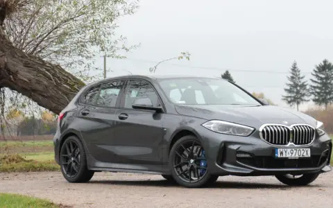 Szare BMW 118i zaparkowane przy przewróconym drzewie.