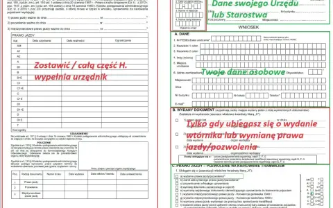 Wniosek o wydanie prawa jazdy, wtórnika lub wymianę dokumentu. Wypełnij dane osobowe i zaznacz cel złożenia wniosku.