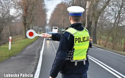 Policjant w kamizelce odblaskowej zatrzymuje ruch, by sprawdzić, ile promili ma kierowca.