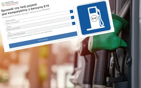 Formularz sprawdza kompatybilność pojazdu z benzyną E10. Obok widoczny znak stacji paliw z symbolem E10.