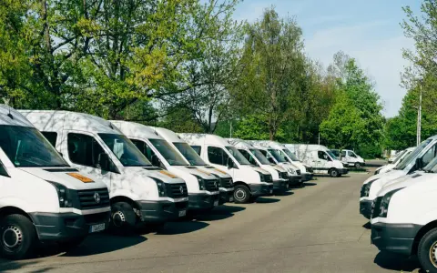 Rząd białych busów zaparkowanych pod drzewami. Zastanawiam się, jaki bus w benzynie sprawdziłby się najlepiej do przewozu towarów.