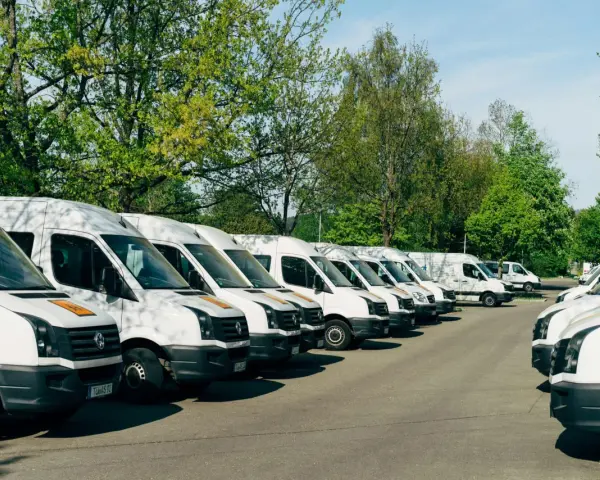 Rząd białych busów zaparkowanych pod drzewami. Zastanawiam się, jaki bus w benzynie sprawdziłby się najlepiej do przewozu towarów.