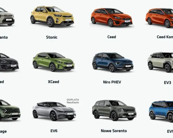 Różne rodzaje pojazdów Kia: miejskie Picanto, SUV-y Stonic, Ceed, XCeed, Sportage, Sorento oraz elektryczne EV3, EV6, EV9.