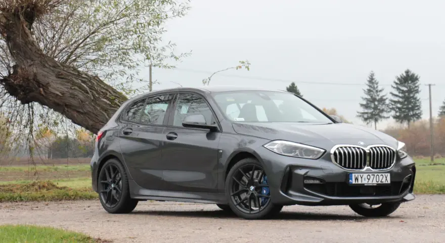 Szare BMW 118i zaparkowane przy przewróconym drzewie.