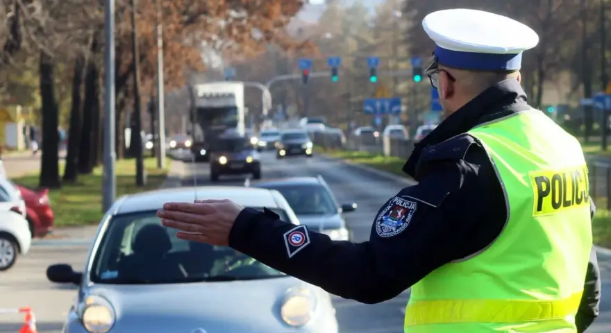 Policjant kieruje ruchem na ulicy. Kierowca zatrzymuje się, bo zgubił prawo jazdy i boi się kontroli.