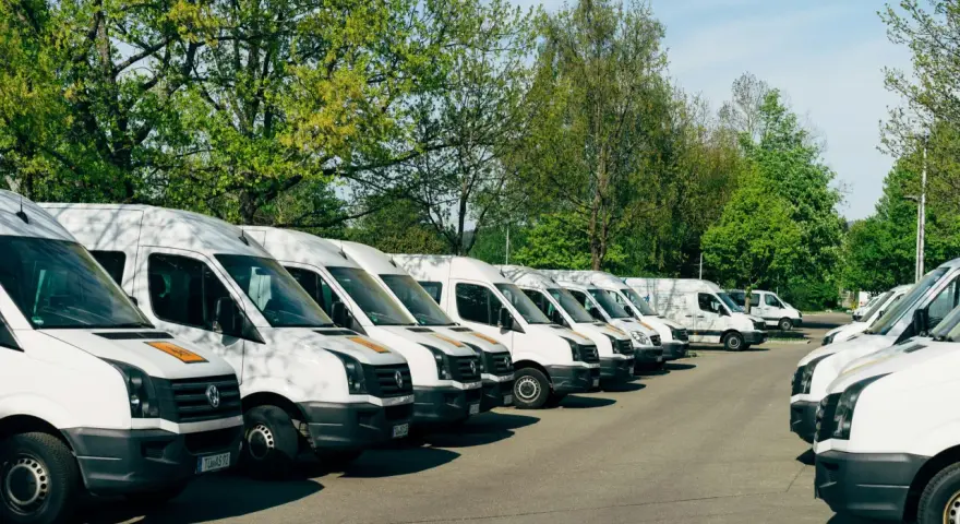 Rząd białych busów zaparkowanych pod drzewami. Zastanawiam się, jaki bus w benzynie sprawdziłby się najlepiej do przewozu towarów.