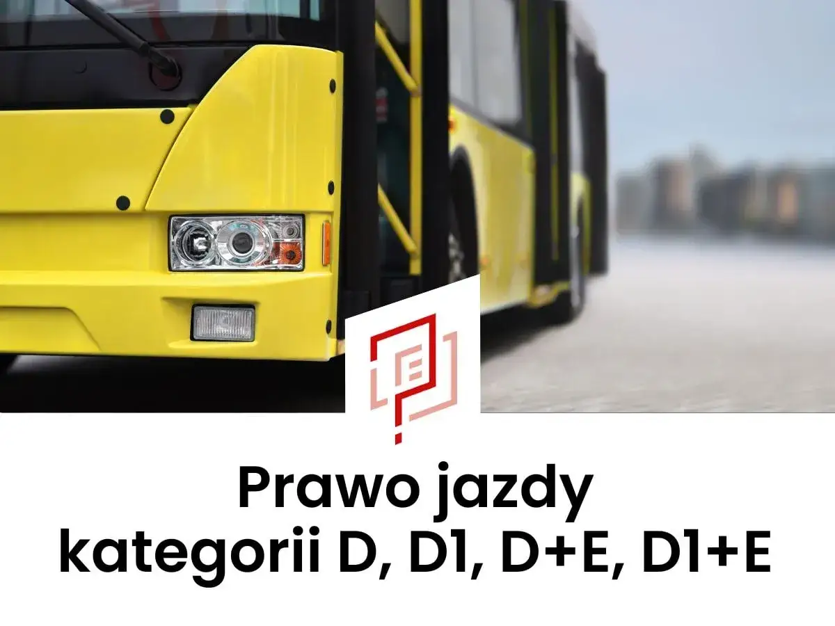 Żółty autobus, prawo jazdy kategorii D, D1, D+E, D1+E. Ile miejsc w autobusie?