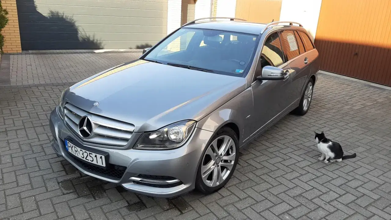 Szary Mercedes w204 kombi zaparkowany na podjeździe. Obok siedzi czarno-biały kot.